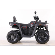 Квадроцикл MOTAX ATV Grizlik T 250 Pro Квадроцикл MOTAX ATV Grizlik T 250 Pro