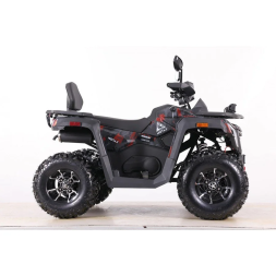 Квадроцикл MOTAX ATV Grizlik T 250 Pro, фото 6