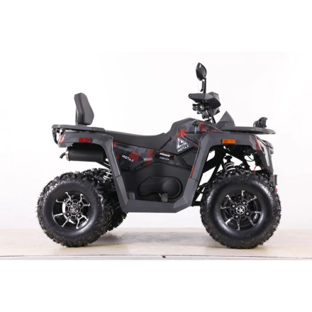 Квадроцикл MOTAX ATV Grizlik T 250 Pro, фото 6