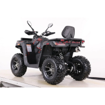Квадроцикл MOTAX ATV Grizlik T 250 Pro Квадроцикл MOTAX ATV Grizlik T 250 Pro