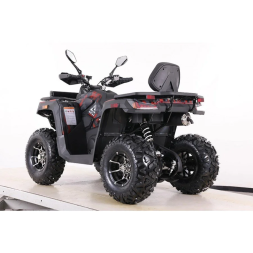 Квадроцикл MOTAX ATV Grizlik T 250 Pro, фото 3