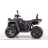 Квадроцикл MOTAX ATV Grizlik T 250 Pro