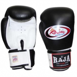 Перчатки боксерские RAJA BOXING