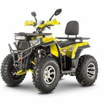 Квадроцикл WELS ATV Thunder Trail 200 Pro Квадроцикл WELS ATV Thunder Trail 200 Pro