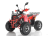 Квадроцикл WELS Thunder EVO X
