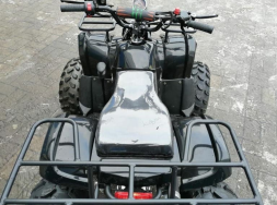 Квадроцикл RAPTOR Max Pro 150, фото 6