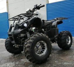 Квадроцикл RAPTOR Max Pro 150, фото 5