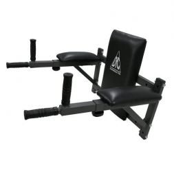 Брусья настенные DFC Homegym G294, фото 1