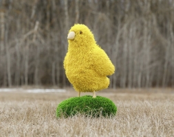 Топиари цыпленок Цыпа - газон Eco, фото 1