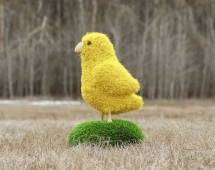 Топиари цыпленок Цыпа - газон Eco