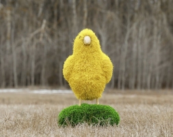 Топиари цыпленок Цыпа - газон Eco, фото 2