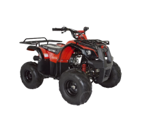 Квадроцикл ABM Ninja 110