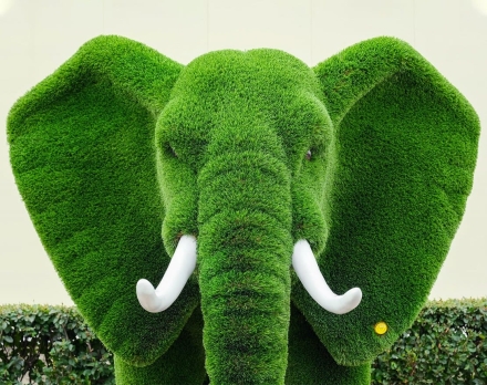 Топиари слон Марти - газон Deluxe, фото 4