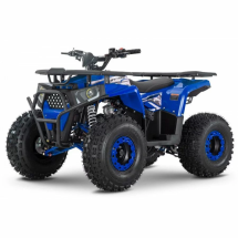 Квадроцикл WELS ATV Trail 125 Квадроцикл WELS ATV Trail 125