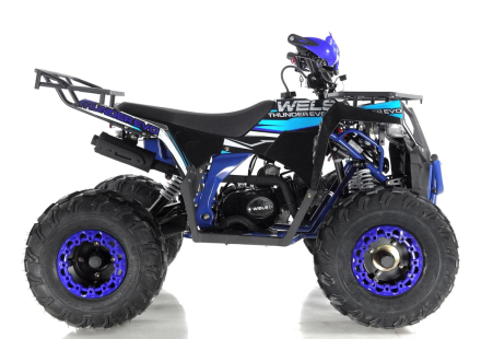Квадроцикл WELS Thunder EVO, фото 4