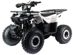Квадроцикл MOTOLAND ATV 125 Storm Квадроцикл MOTOLAND ATV 125 Storm