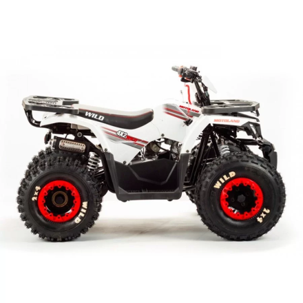 Квадроцикл подростковый MotoLand ATV WILD BASIC 125, фото 4