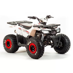 Квадроцикл подростковый MotoLand ATV WILD BASIC 125, фото 3 Квадроцикл подростковый MotoLand ATV WILD BASIC 125, фото 3