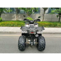 Квадроцикл MOTAX ATV Grizlik T200 Квадроцикл MOTAX ATV Grizlik T200