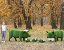 Топиари композиция Семья свинок Хрюшевиц - газон Eco