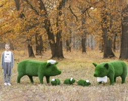Топиари композиция Семья свинок Хрюшевиц - газон Eco, фото 2