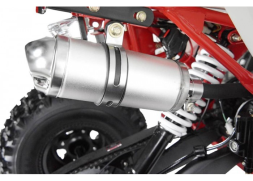 Квадроцикл WELS Thunder EVO LUX X 125, фото 17