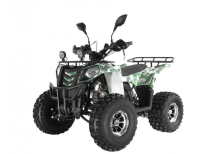 Квадроцикл WELS Thunder EVO LUX X 125