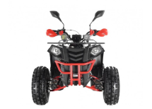 Квадроцикл WELS Thunder EVO LUX X 125