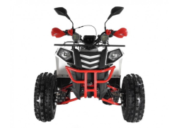 Квадроцикл WELS Thunder EVO LUX X 125, фото 2
