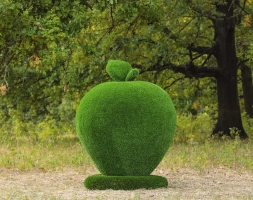 Топиари яблоко - газон Eco, фото 2