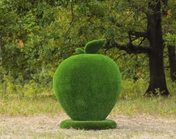 Топиари яблоко - газон Eco, фото 3