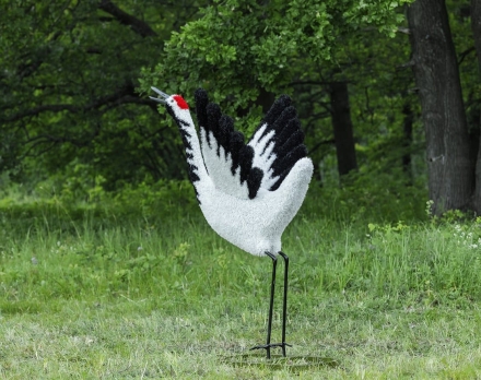 Топиари журавль японский - газон Eco, фото 3