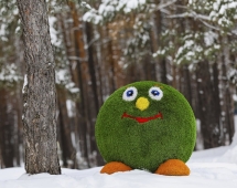 Топиари смайлик Без шляпы - газон Premium Топиари смайлик Без шляпы - газон Premium