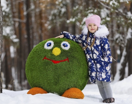 Топиари смайлик Без шляпы - газон Premium, фото 2