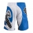 Шорты ММА Hayabusa Chikara Fight Shorts Blue