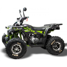 Квадроцикл подростковый MotoLand WILD 125 X PRO