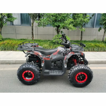 Квадроцикл MOTAX ATV Grizlik T200 Lux Квадроцикл MOTAX ATV Grizlik T200 Lux