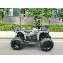 Квадроцикл MOTAX ATV Grizlik T200 Lux Квадроцикл MOTAX ATV Grizlik T200 Lux