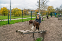 Балансир для дрессировки собак Балансир для дрессировки собак