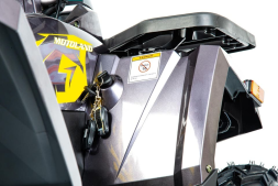 Квадроцикл MOTOLAND 200 Wild Track X Pro (2022), фото 11 Квадроцикл MOTOLAND 200 Wild Track X Pro (2022), фото 11