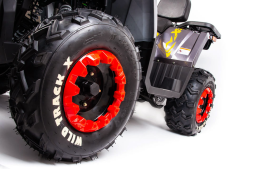 Квадроцикл MOTOLAND 200 Wild Track X Pro (2022), фото 5 Квадроцикл MOTOLAND 200 Wild Track X Pro (2022), фото 5