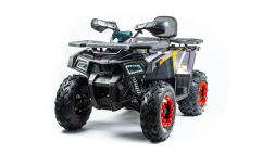 Квадроцикл MOTOLAND 200 Wild Track X Pro (2022), фото 3 Квадроцикл MOTOLAND 200 Wild Track X Pro (2022), фото 3