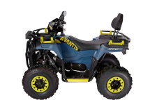 Квадроцикл AVANTIS Ray 200 Premium