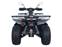 Квадроцикл ACCESS AMX800 Long Base (ПСМ), фото 2