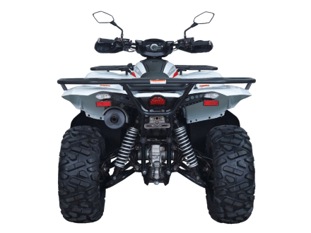 Квадроцикл ACCESS AMX800 Long Base (ПСМ), фото 2