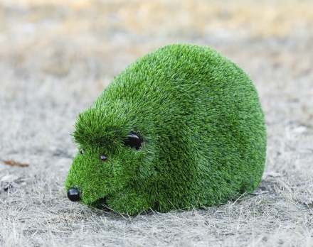 Топиари Ежик, маленький - газон Deluxe, фото 4