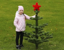 Топиари Ёлка со звездой - газон Eco Топиари Ёлка со звездой - газон Eco