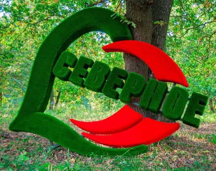 Топиари стела Город в сердце, h=330 см - газон Eco, фото 1