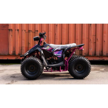 Квадроцикл WELS ATV Tukah 110 Квадроцикл WELS ATV Tukah 110