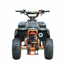 Квадроцикл WELS ATV Tukah 110 Квадроцикл WELS ATV Tukah 110